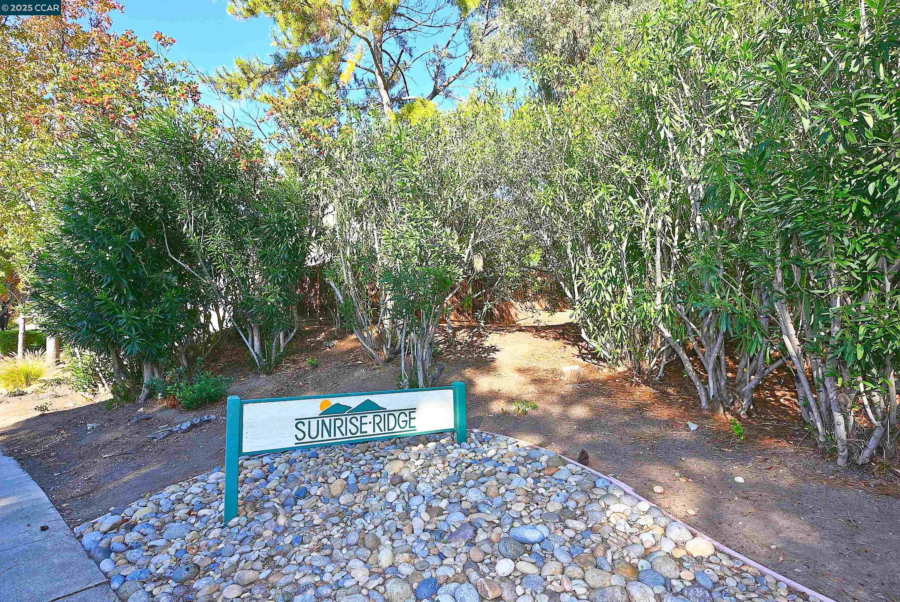 2514 Fern Leaf Ln