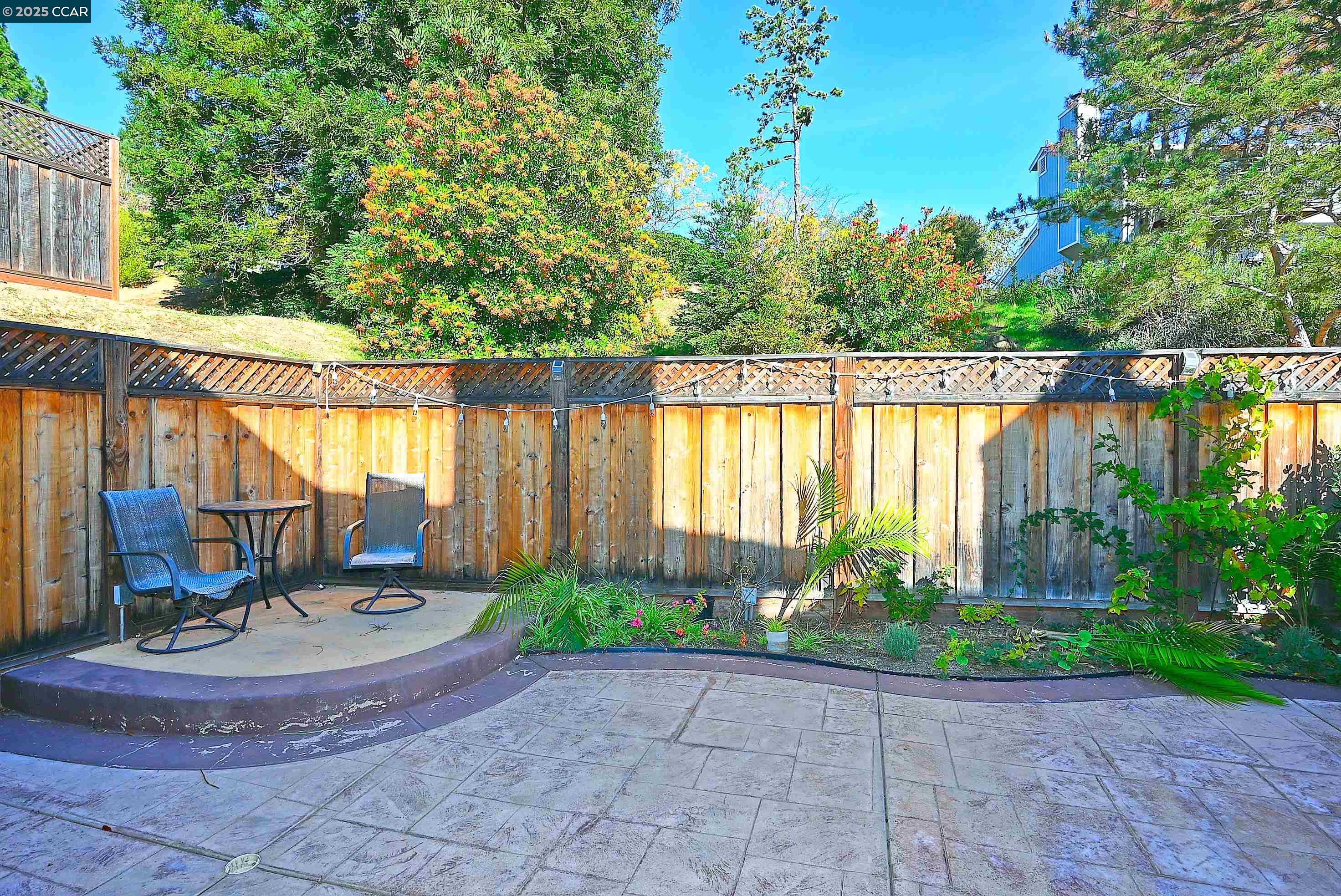 2514 Fern Leaf Ln