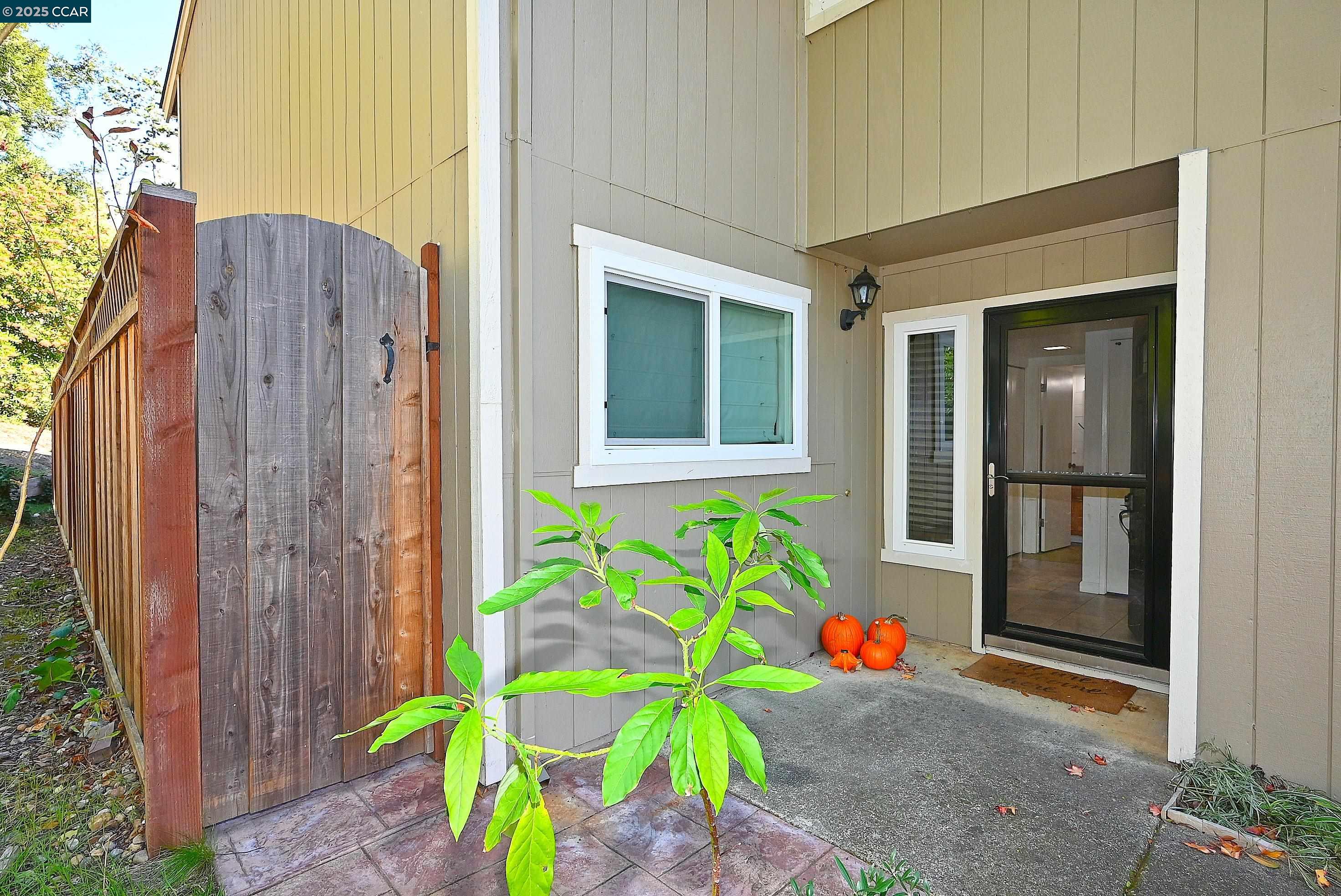 2514 Fern Leaf Ln