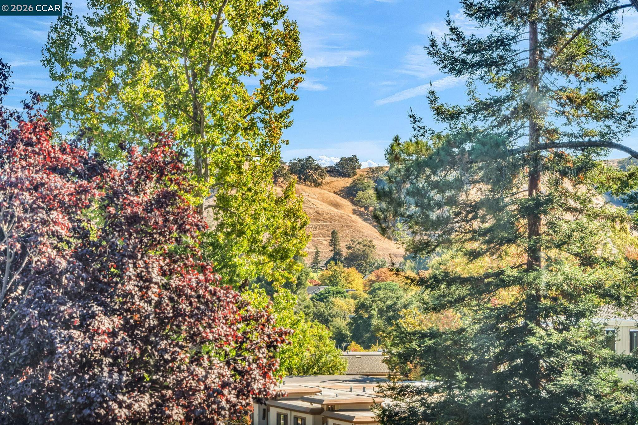2080 Golden Rain Rd # 2