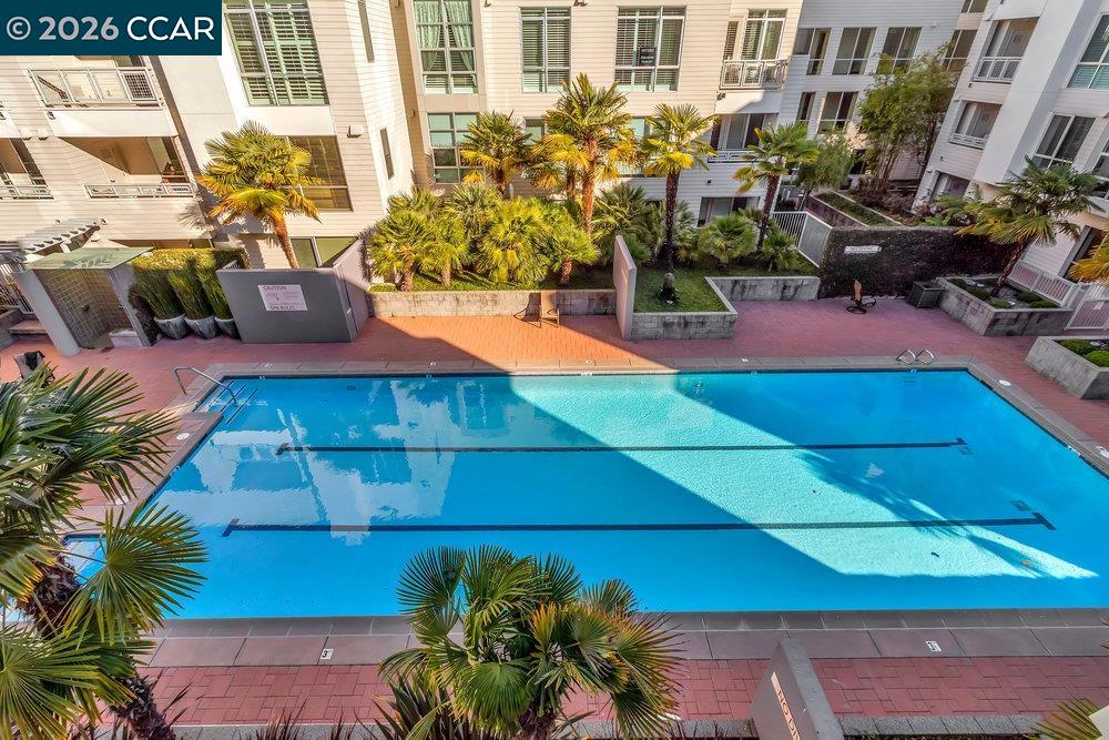 1655 N California Blvd. # 251
