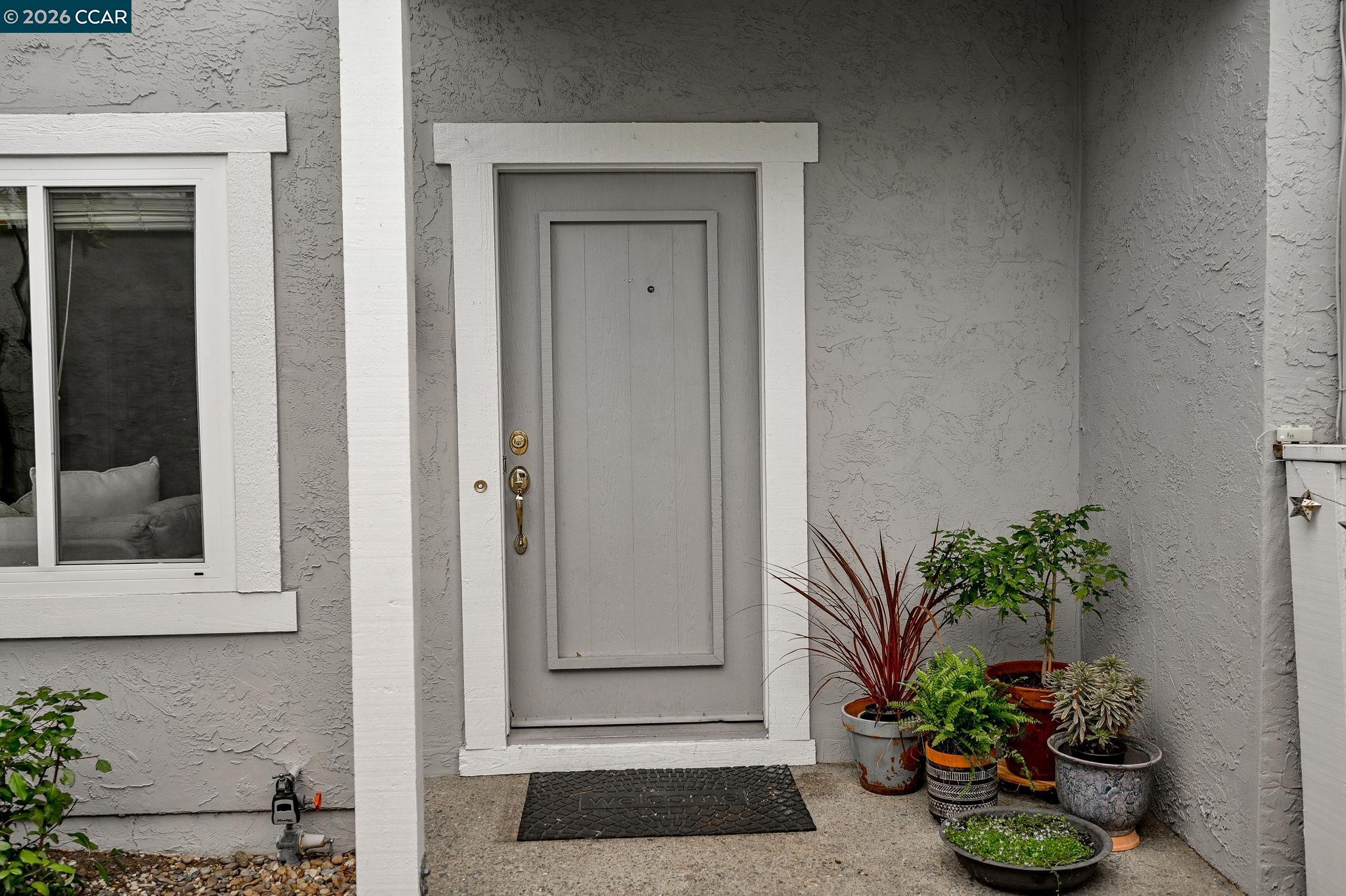 1109 Cardigan Dr
