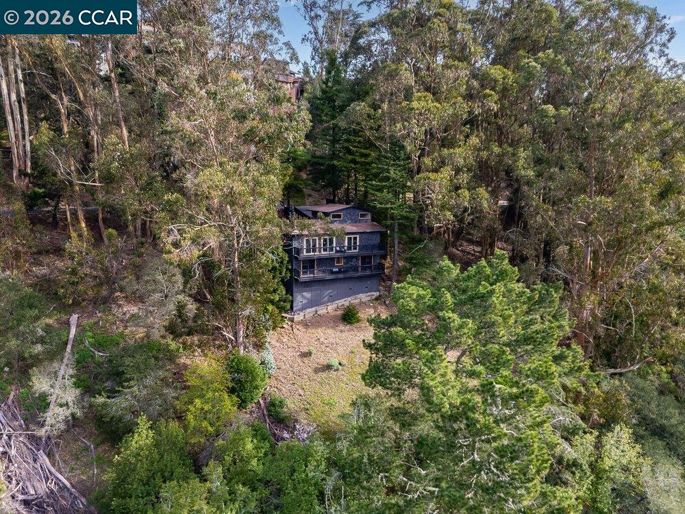 7875 Skyline Blvd