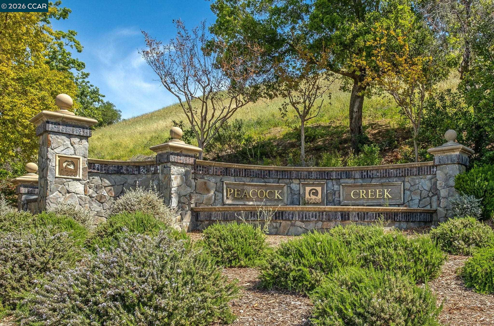 1161 Torrey Pines Pl