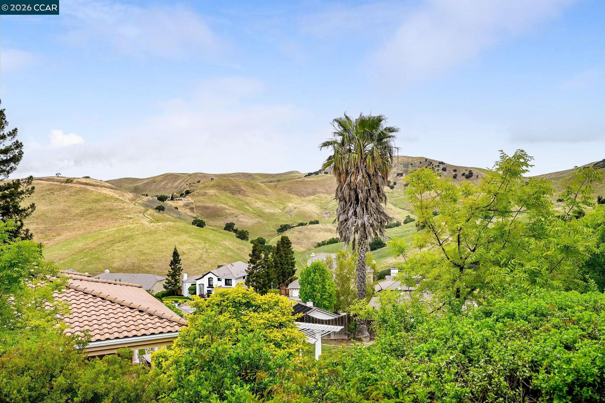 1161 Torrey Pines Pl
