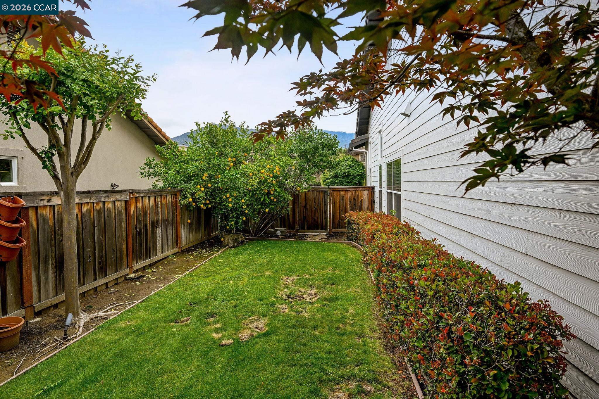 1161 Torrey Pines Pl