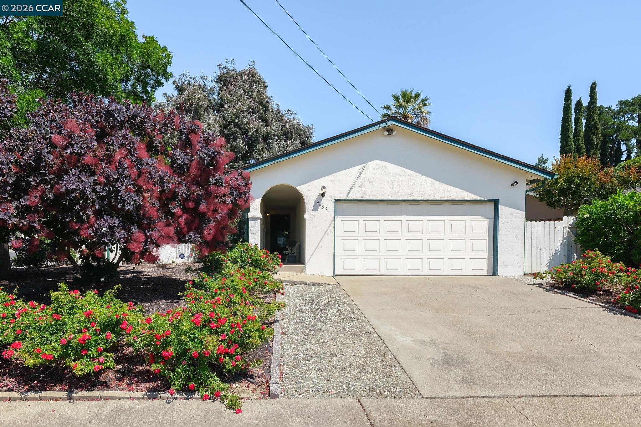 2259 Shasta CT