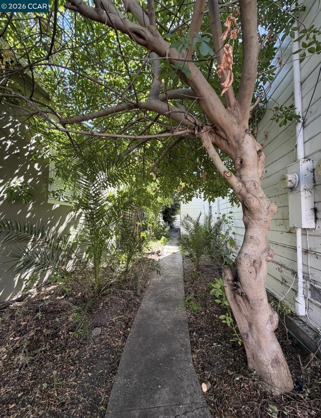 604 Berrellesa St