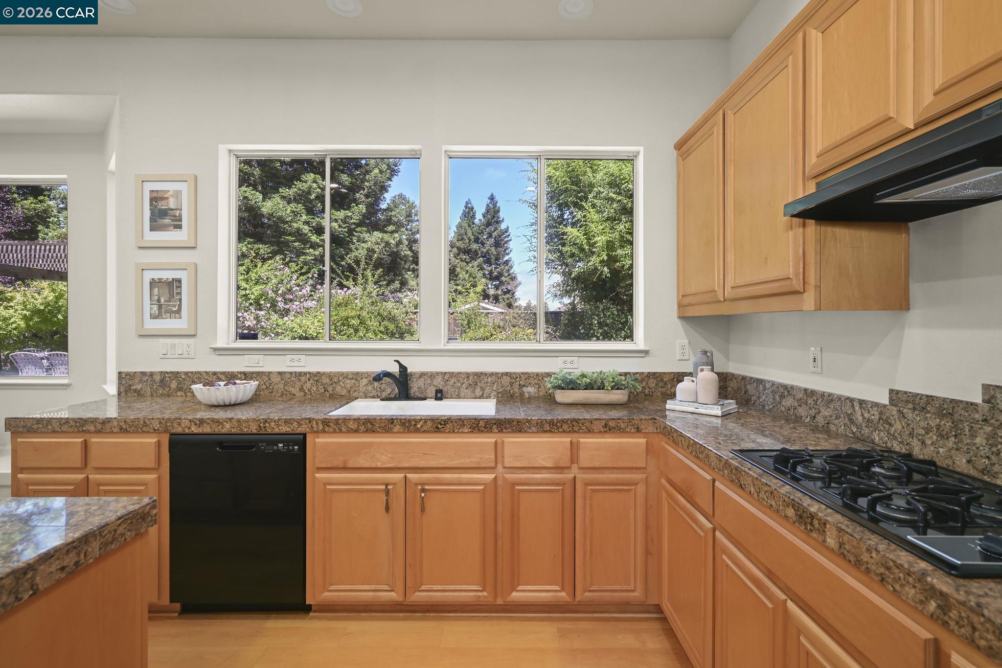 1895 Renee Way