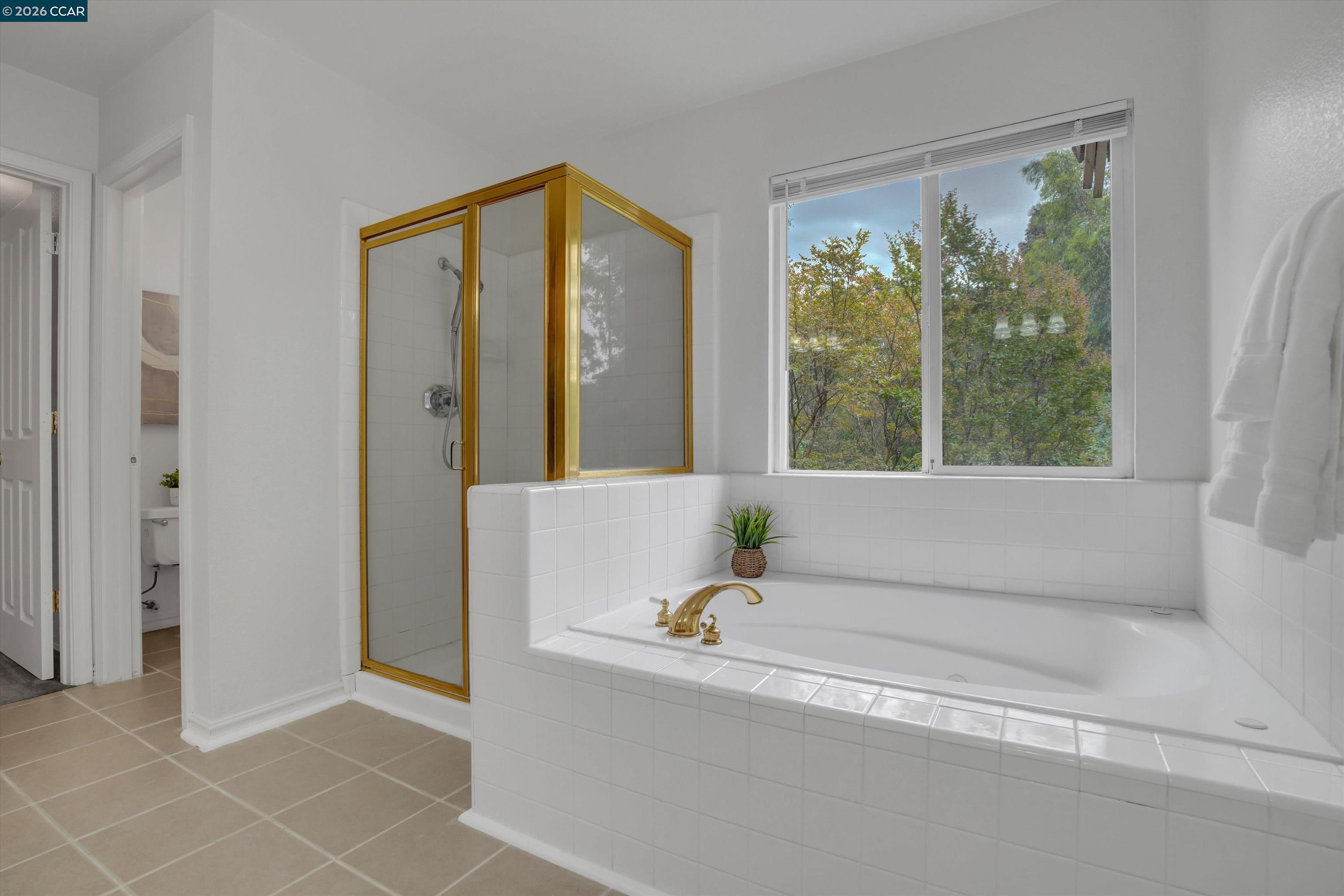 1932 Medicine Mountain Ct