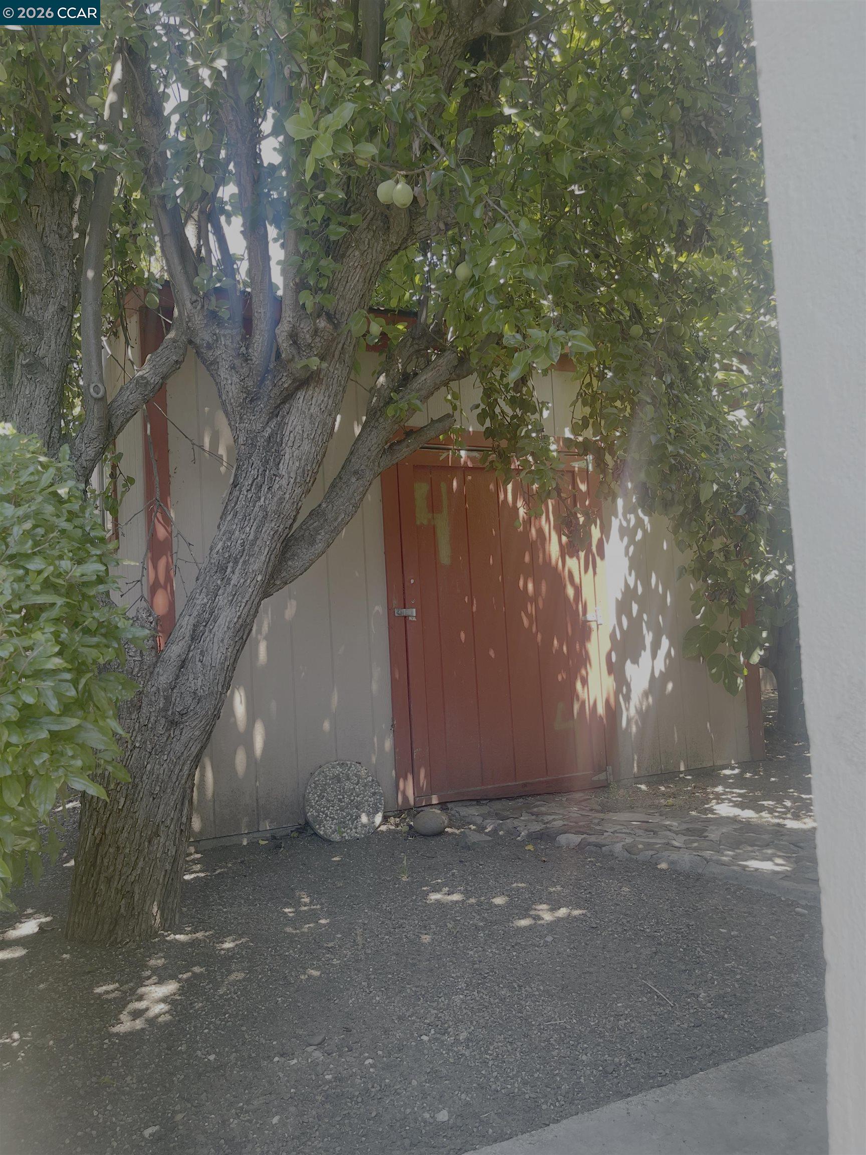 930 Sassel Avenue