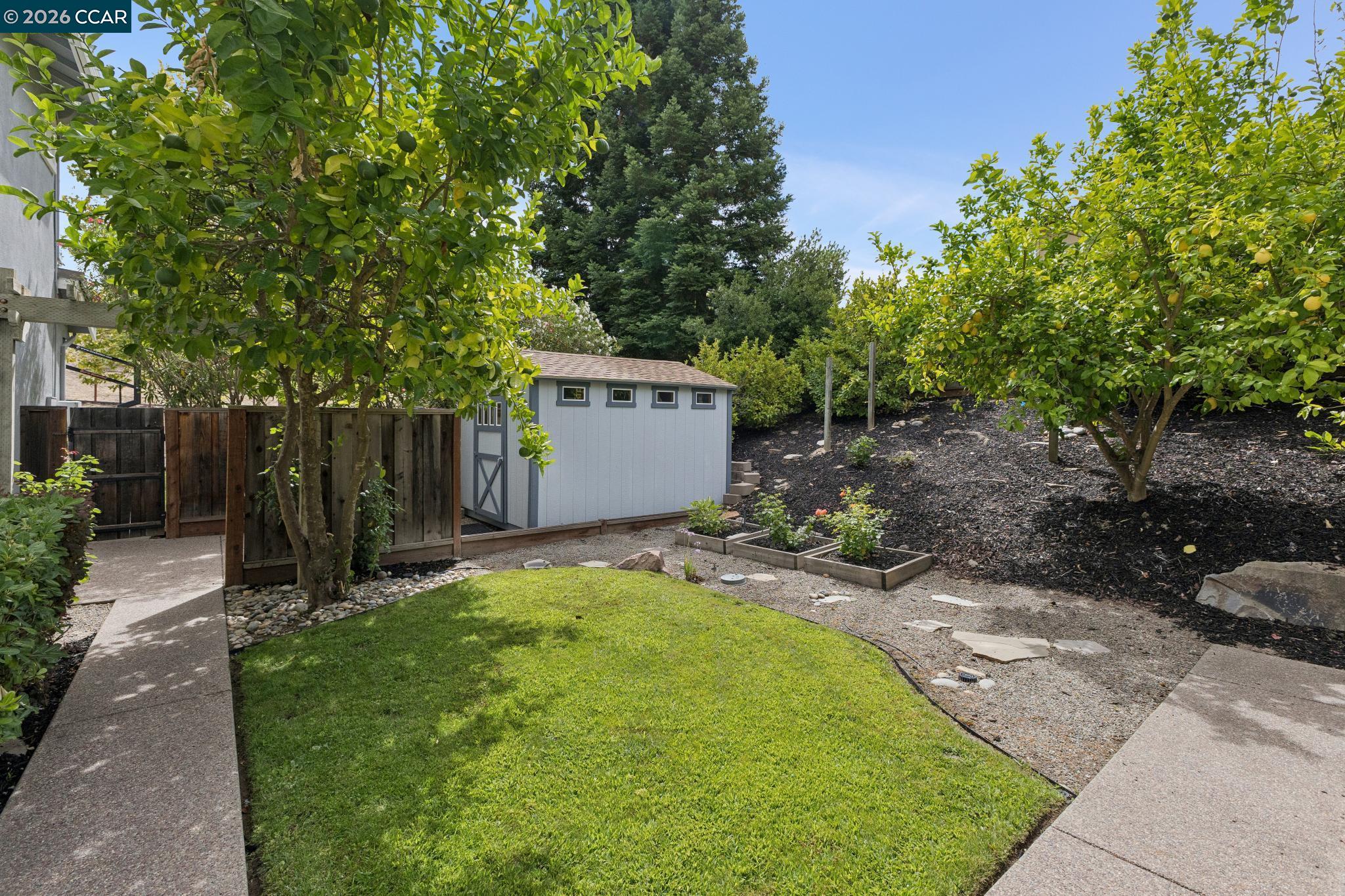 2478 Alamo Country Cir