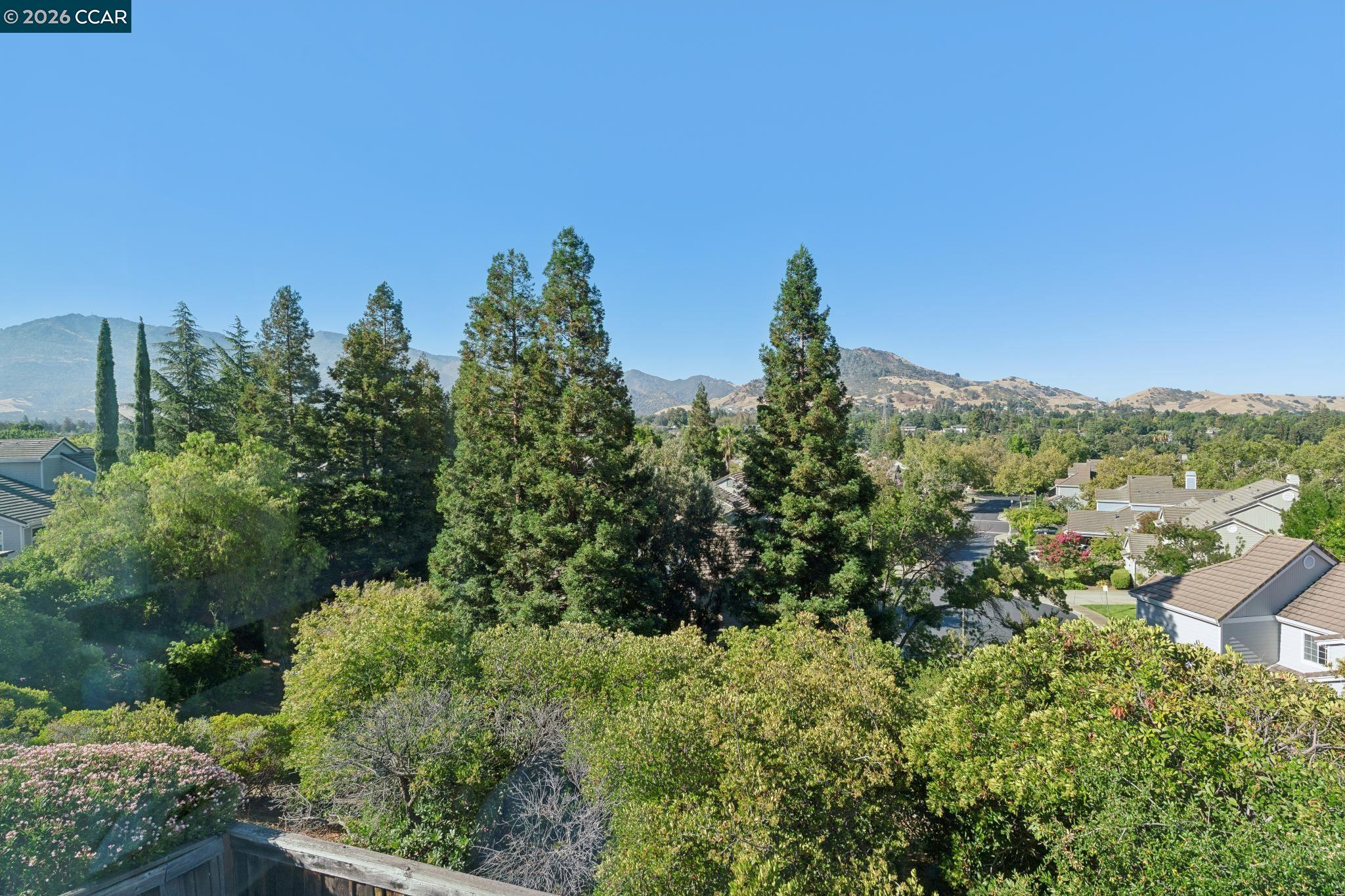 921 Arrowhead Ter