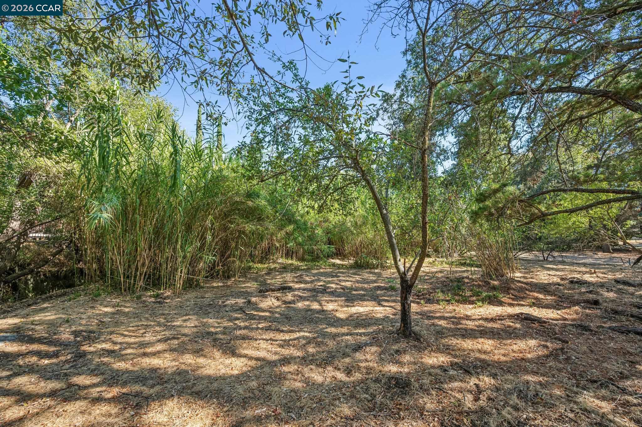 3386 Cowell Rd