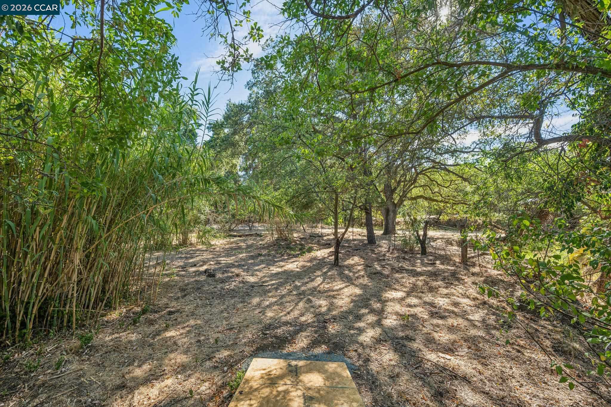 3386 Cowell Rd
