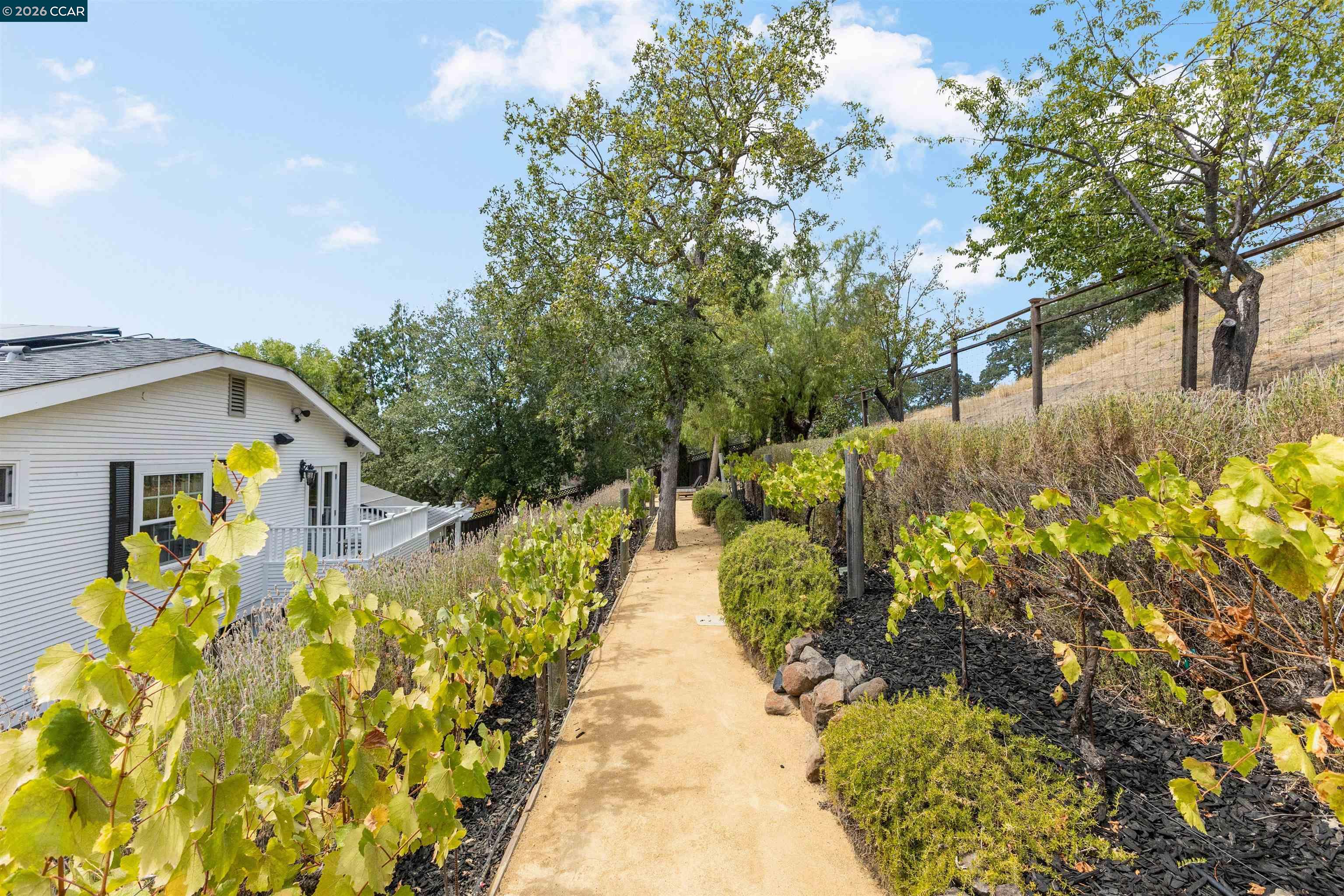 950 Country Lane