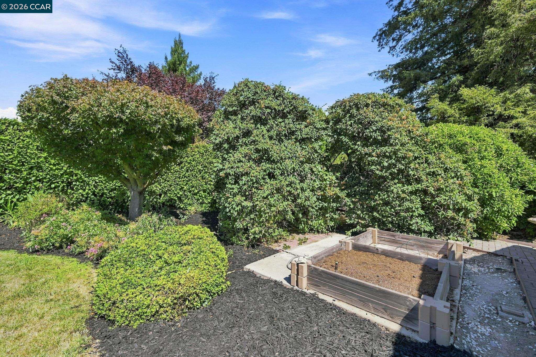 2706 Canyon Creek Dr.