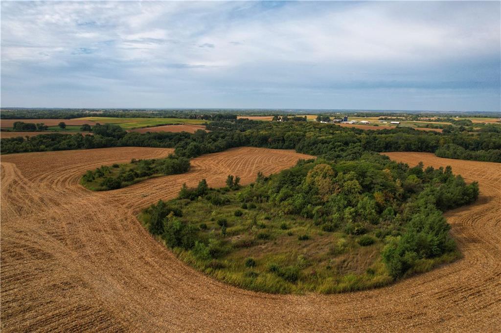 Millwood Road