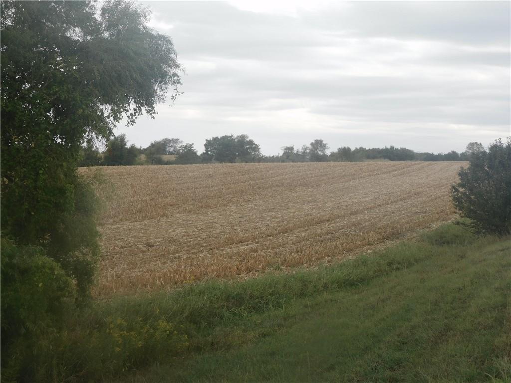 Millwood Road