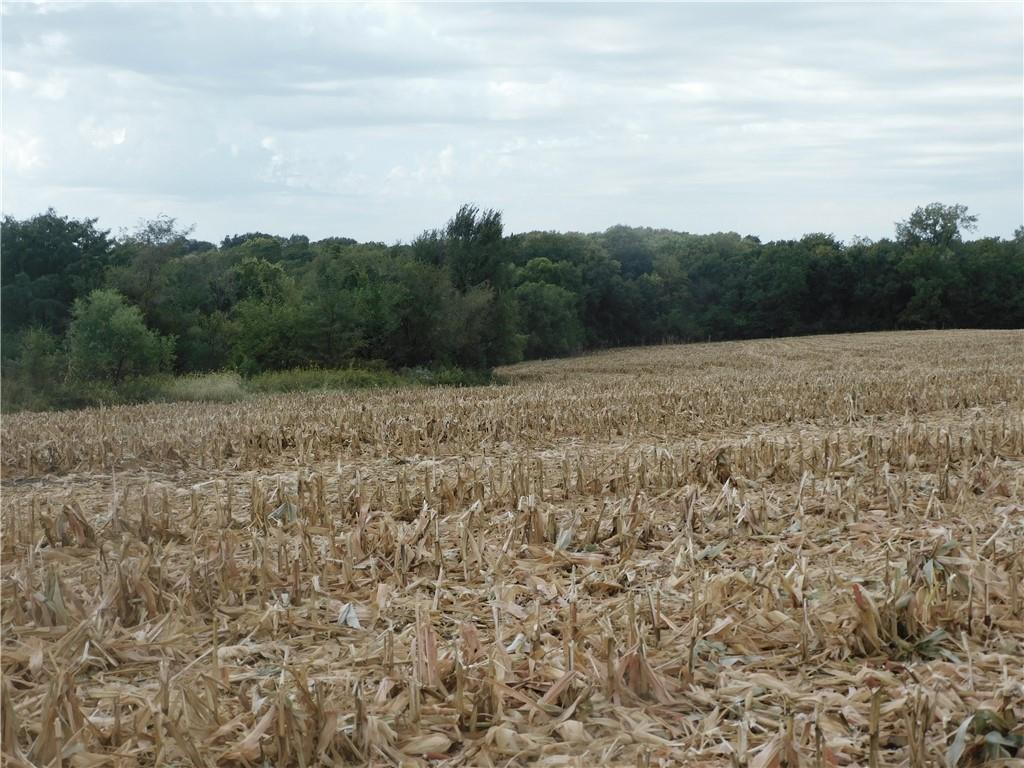 Millwood Road