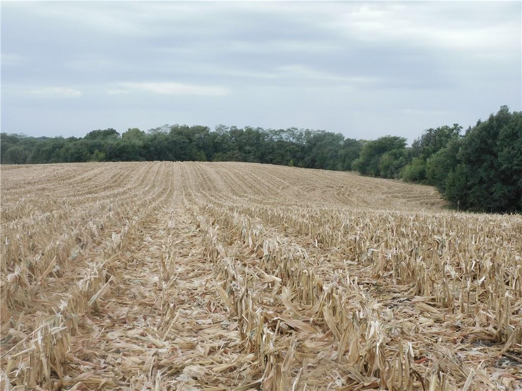 Millwood Road