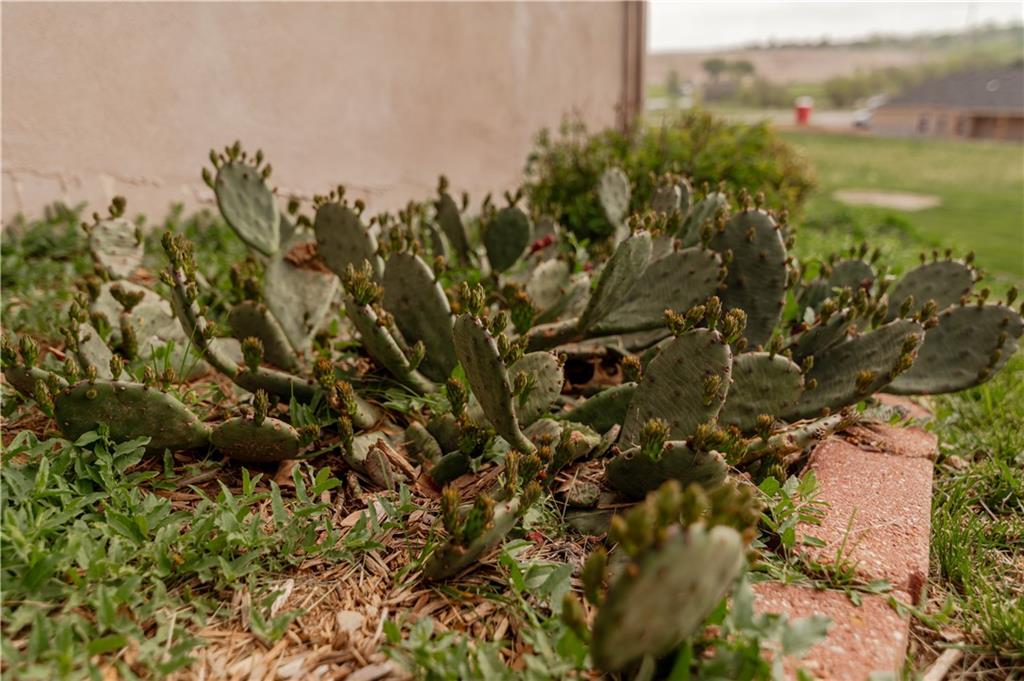 1510 Brookdale Drive