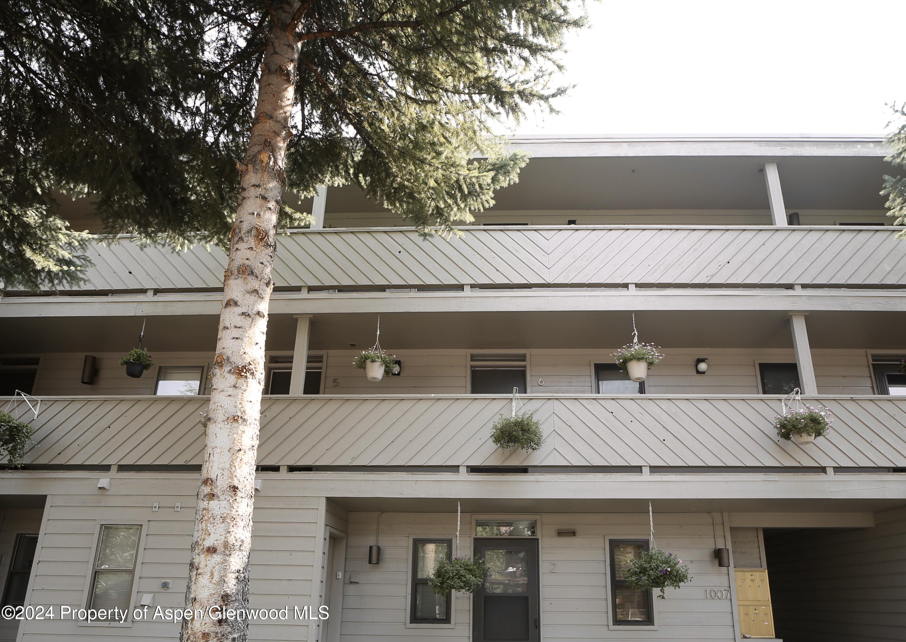 1007 E Hyman Avenue, 6