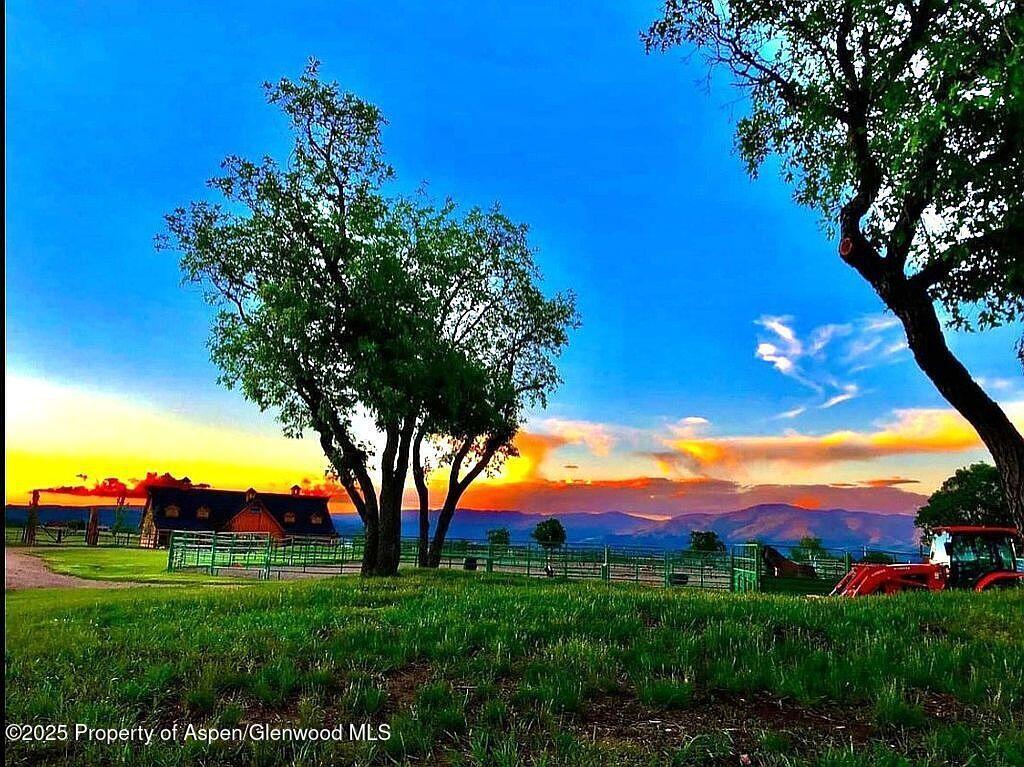 29095 COUNTY ROAD 14A