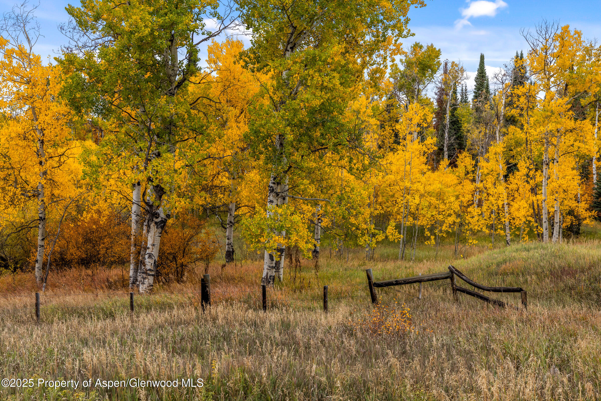 29095 COUNTY ROAD 14A
