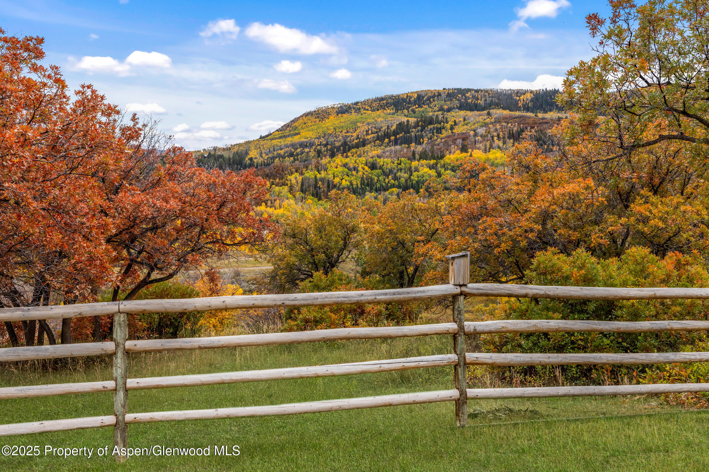 29095 COUNTY ROAD 14A