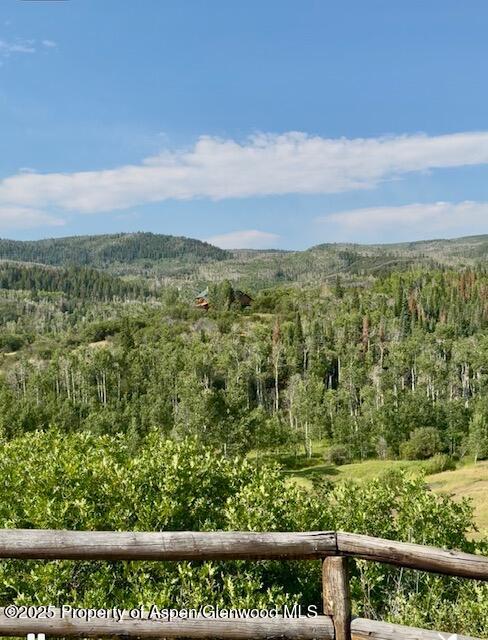 29095 COUNTY ROAD 14A