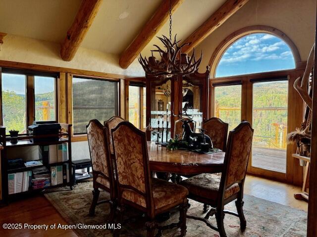 29095 COUNTY ROAD 14A