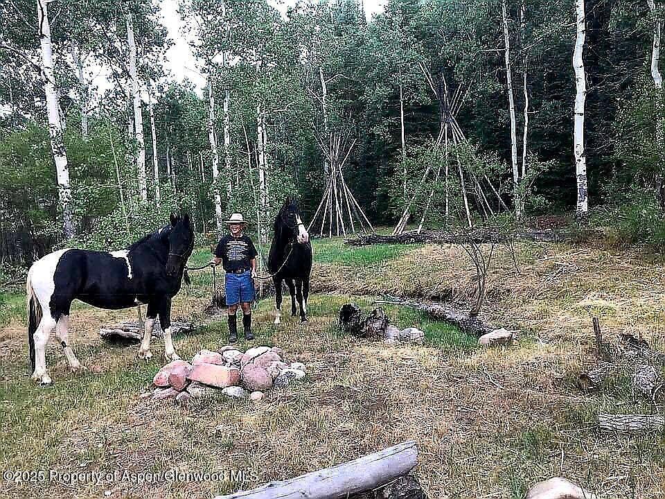 29095 County Rd 14a