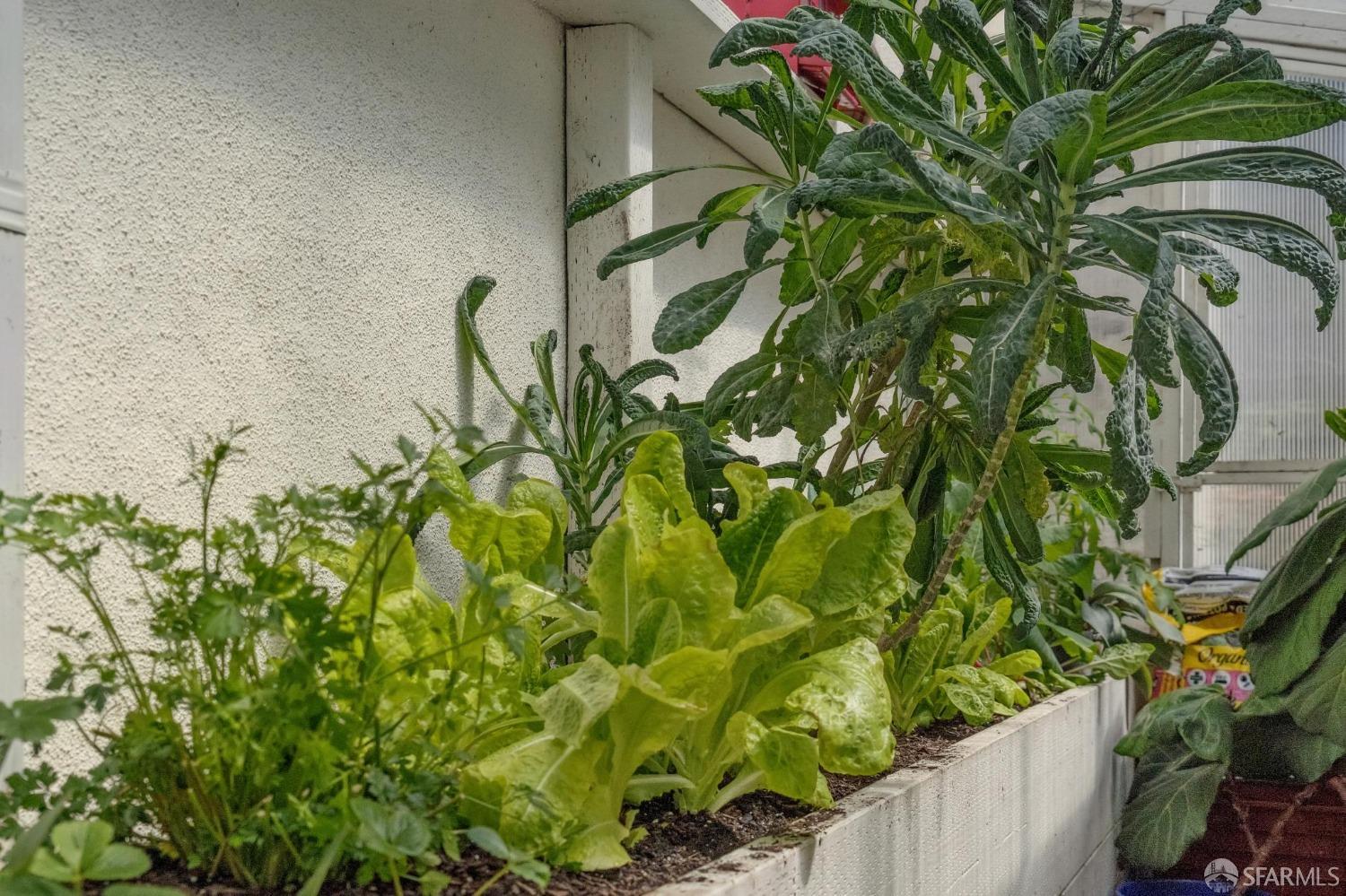 120 Brunswick Street