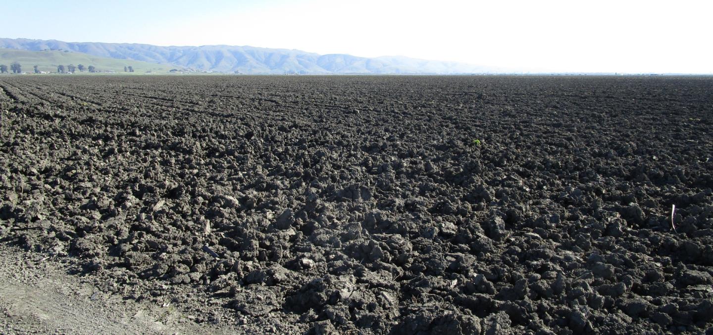 8505 Frazier Lake RD