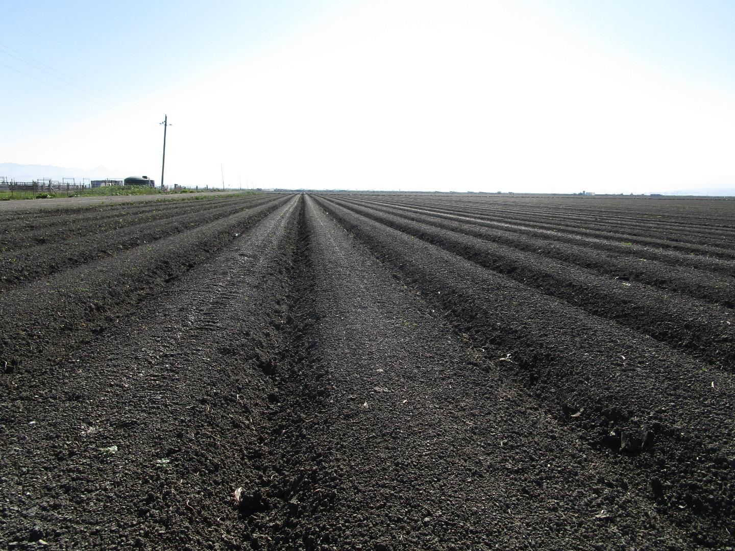 8505 Frazier Lake RD