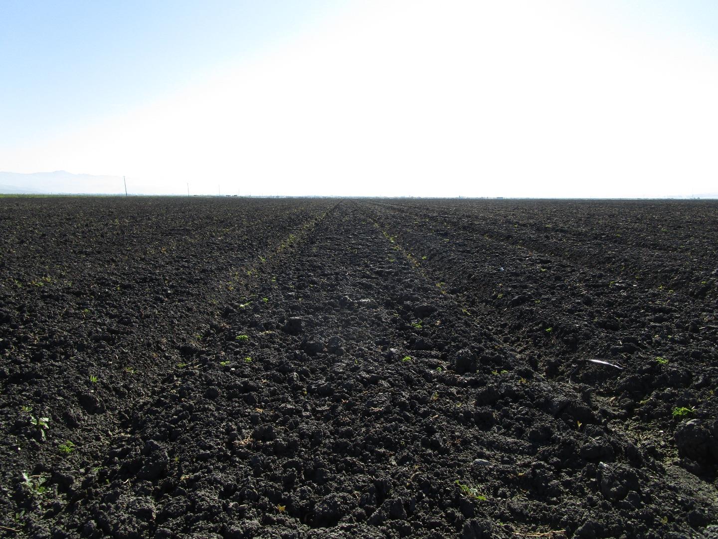 8505 Frazier Lake RD