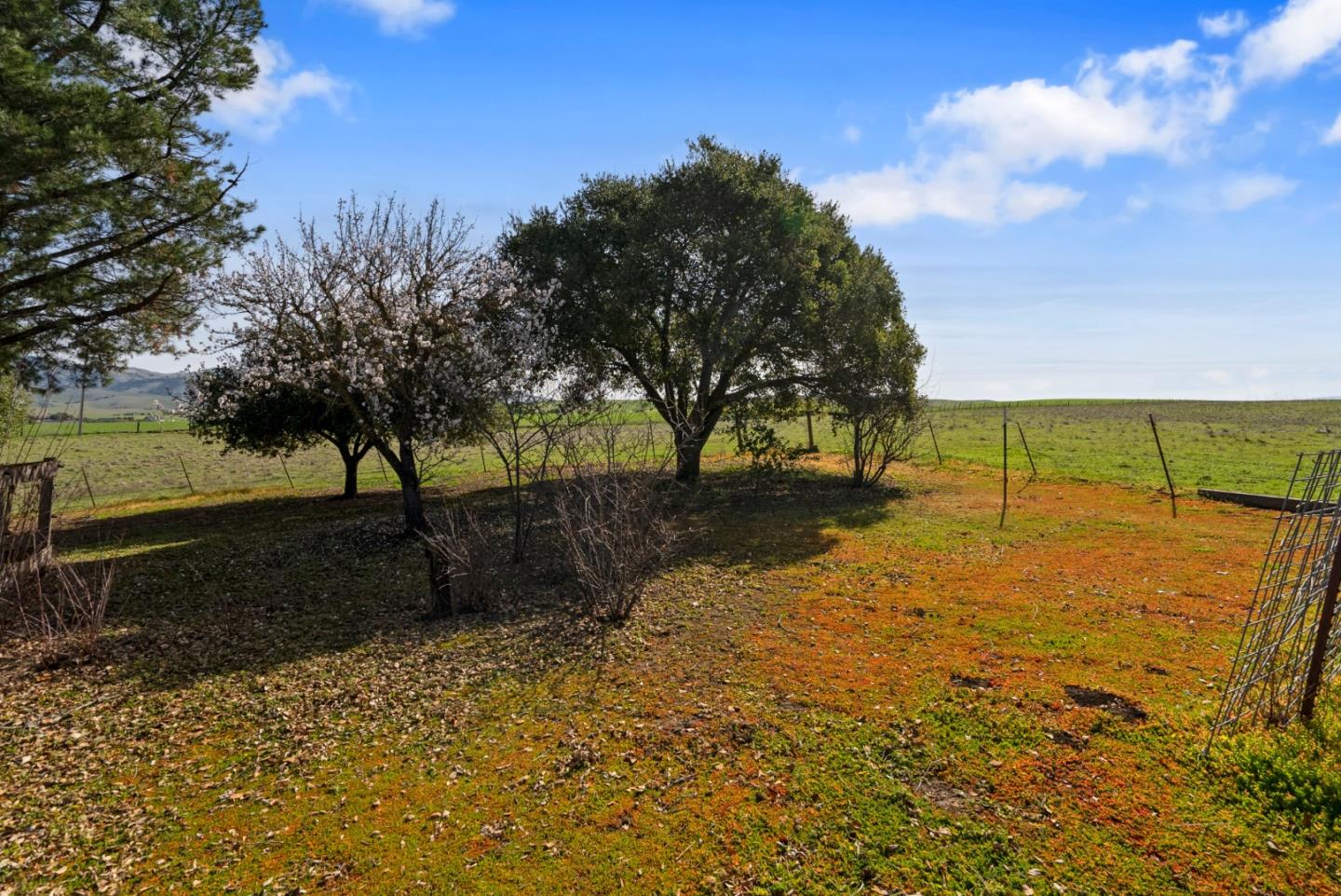 771 Santa Ana Valley RD