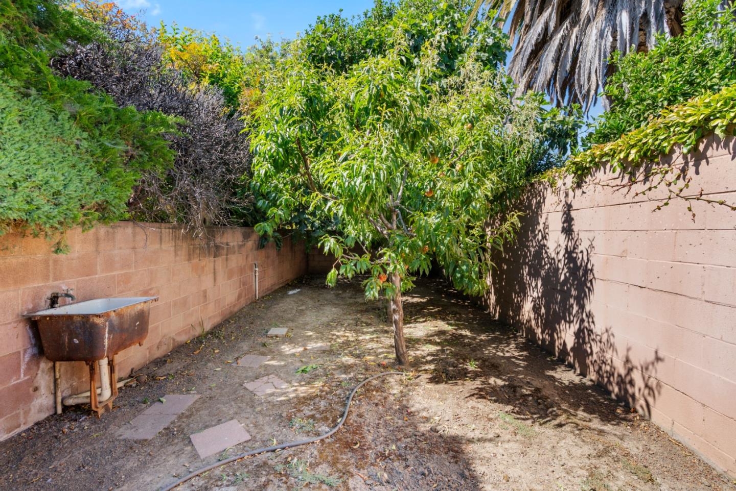 1781 Prune Street