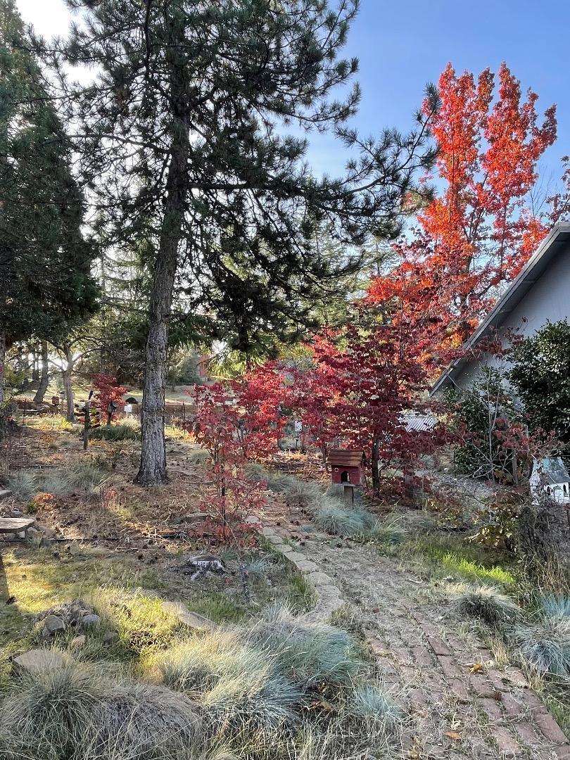 731 Dogwood Drive