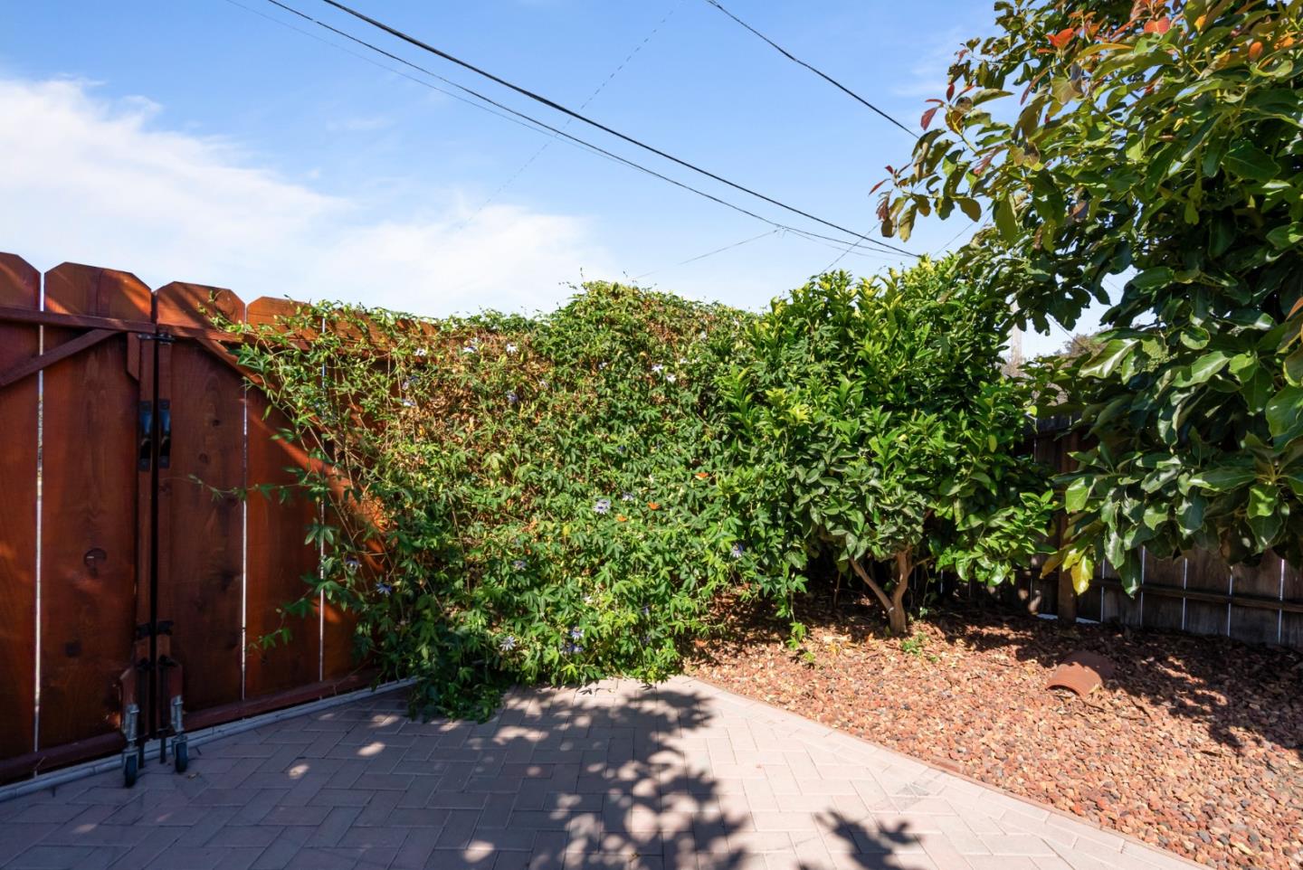 29 Buena Vista Street