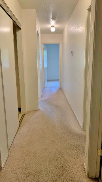 1601 Sunnyslope Road