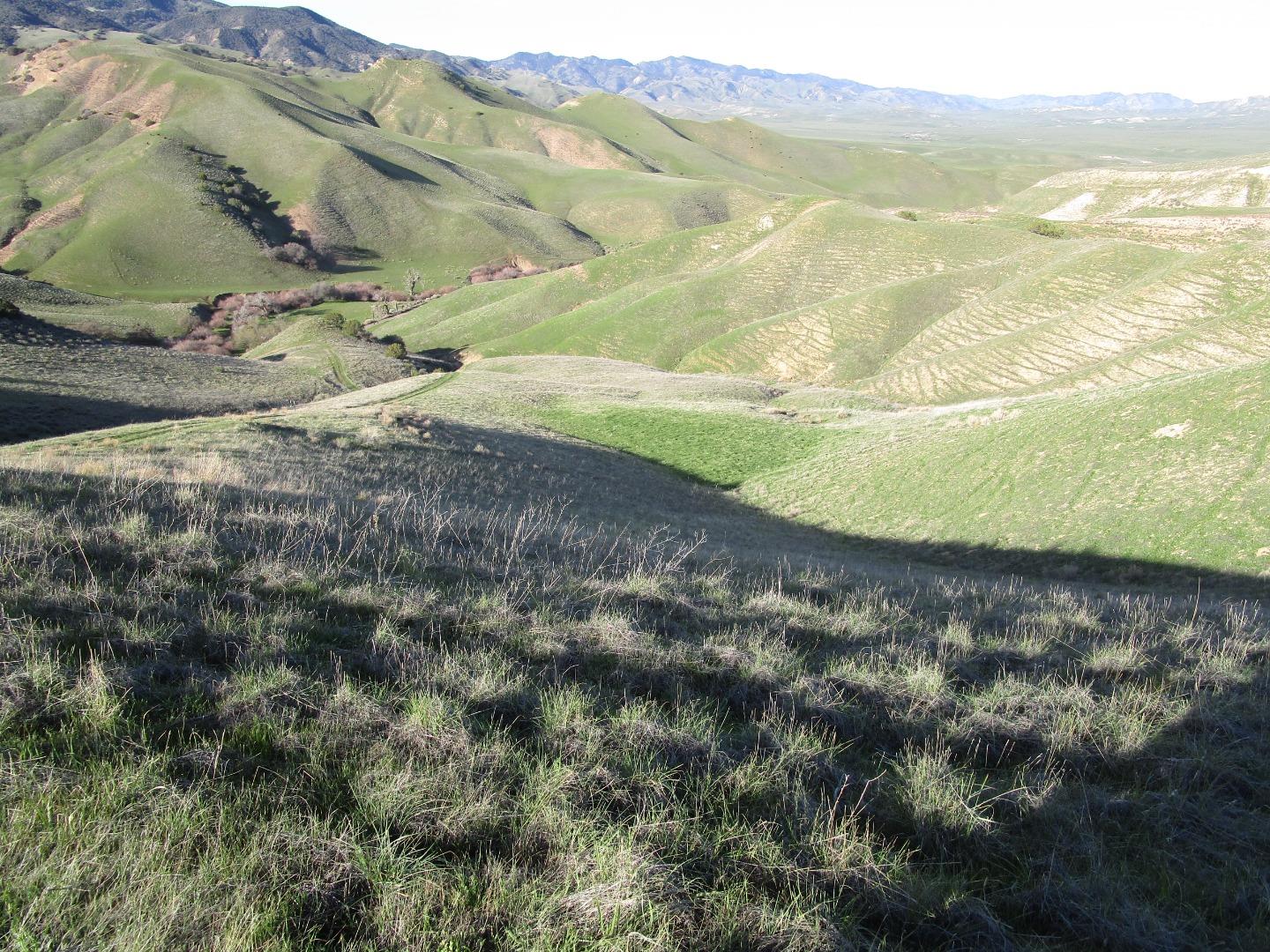 19825 New Idria Road