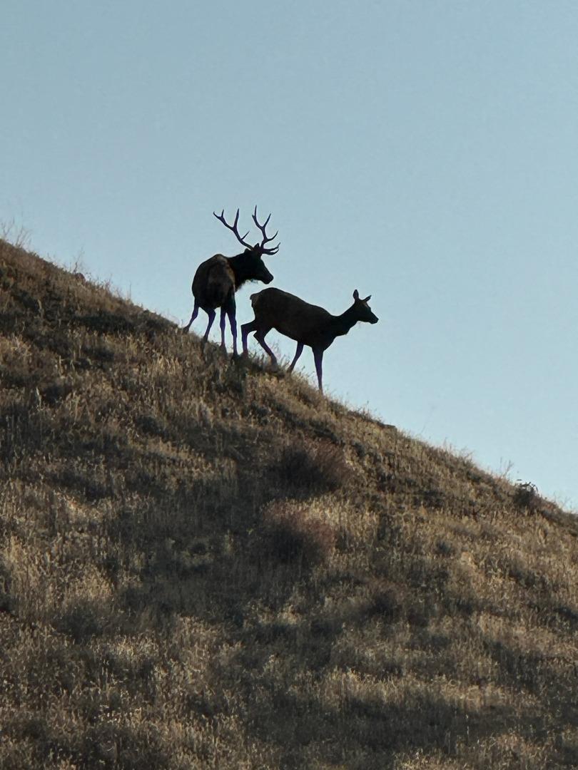 19825 New Idria Road