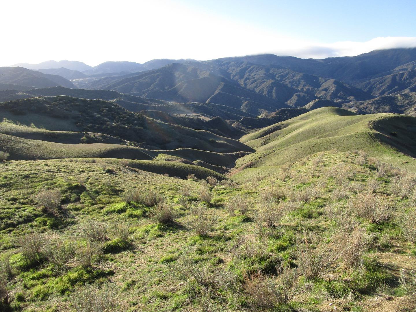 19825 New Idria Road