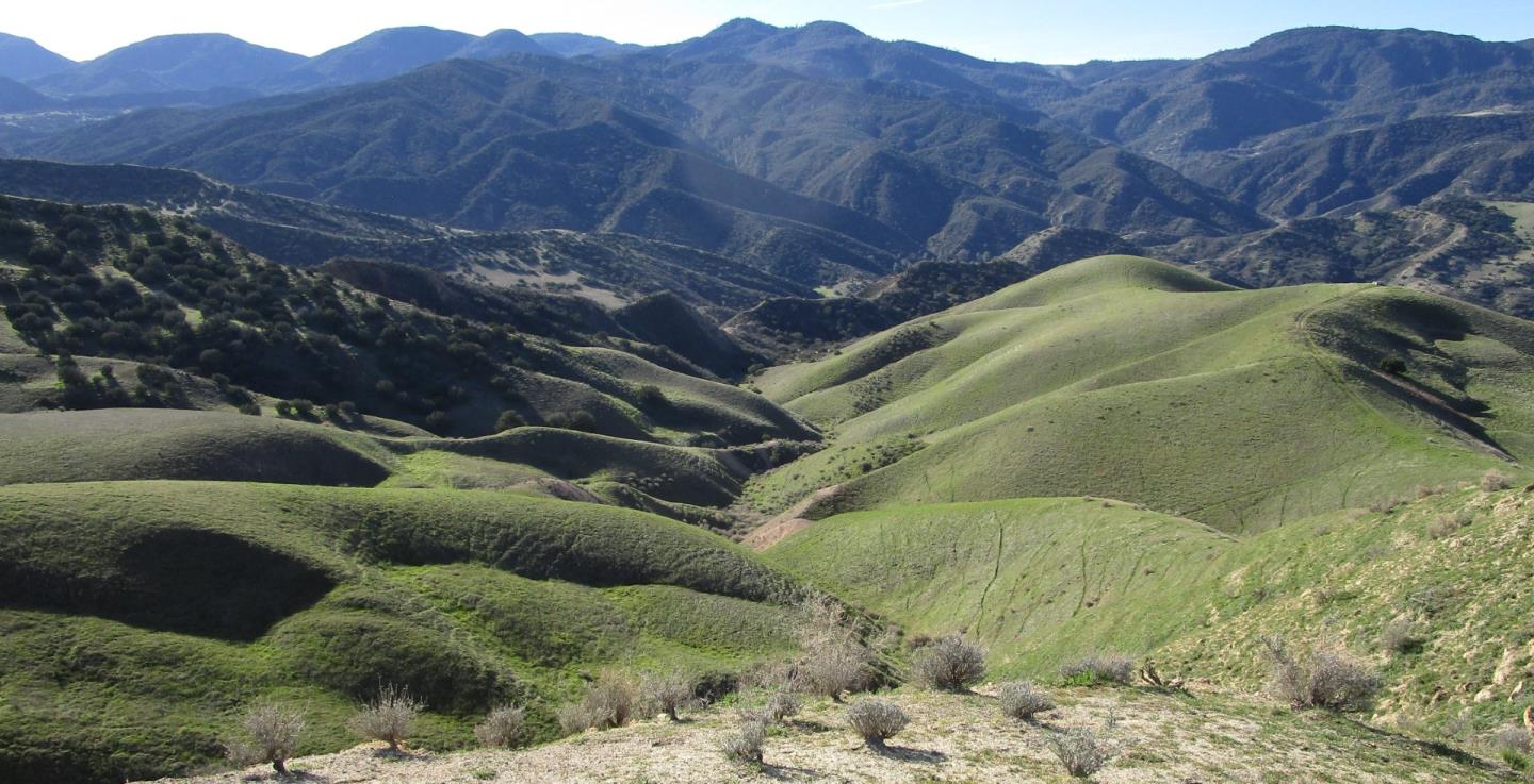 19825 New Idria Road