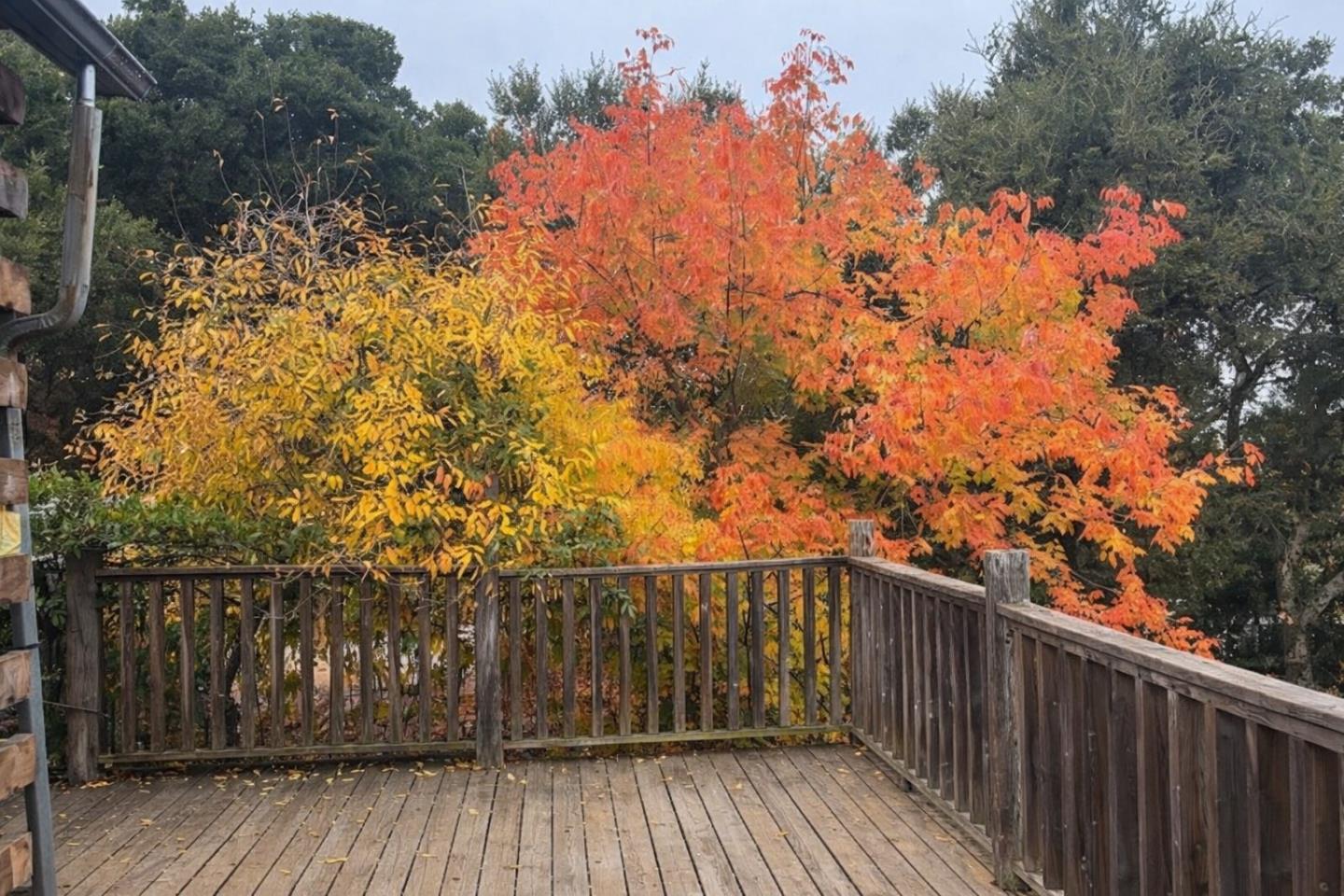 4101 San Juan Canyon Road