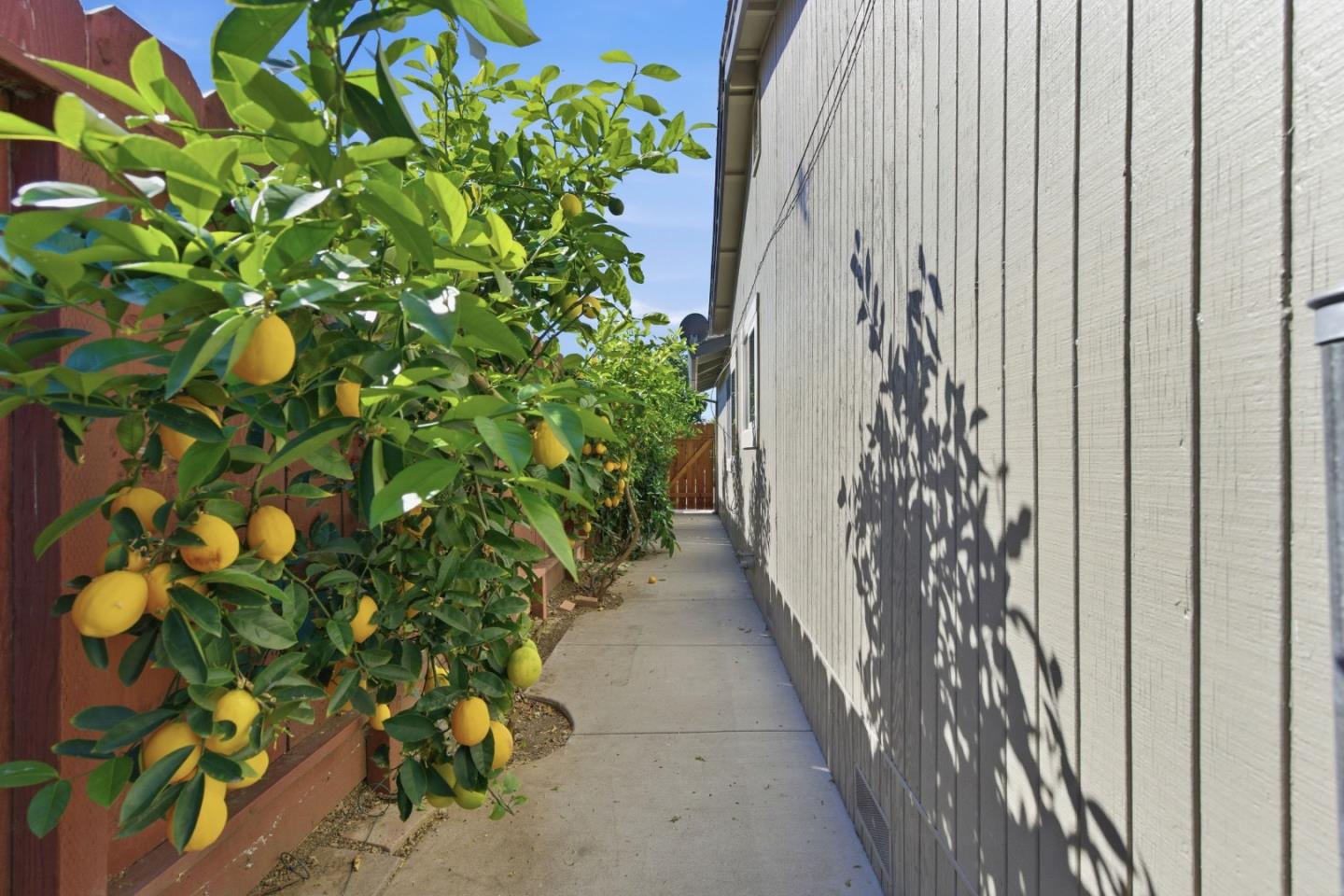 1660 Monte Vista Drive