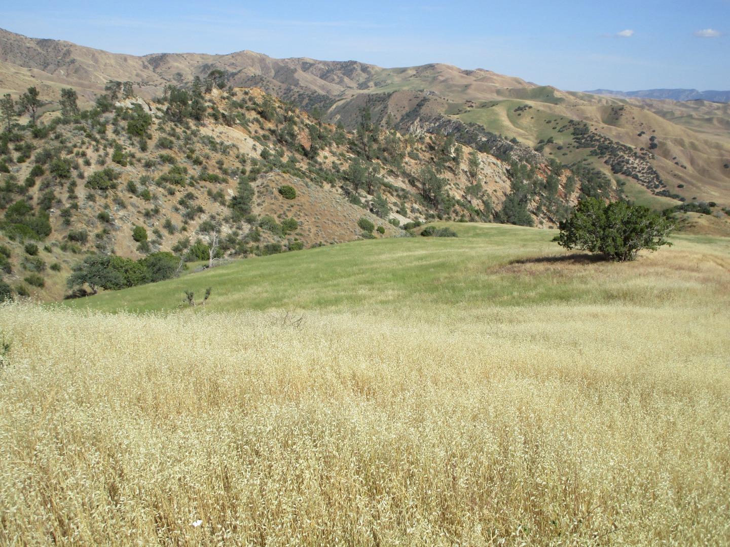 0 New Idria Road
