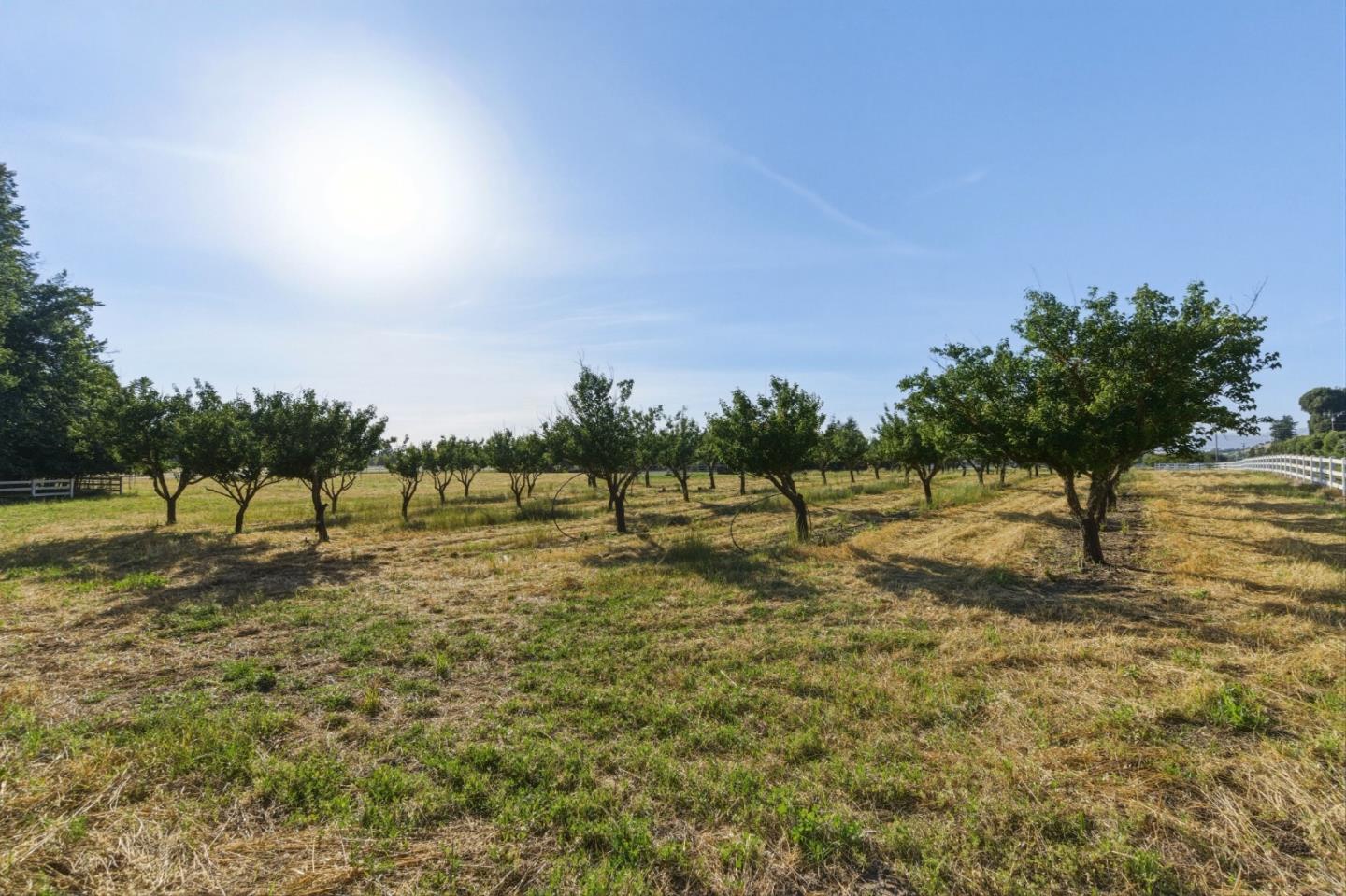 3390 Fallon Road
